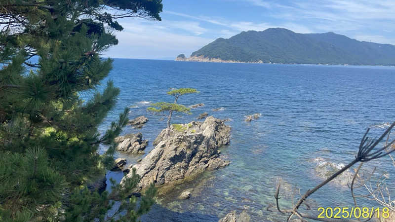 にゃんぱす〜@SB69さんの宇治天然温泉 源氏の湯のサ活写真