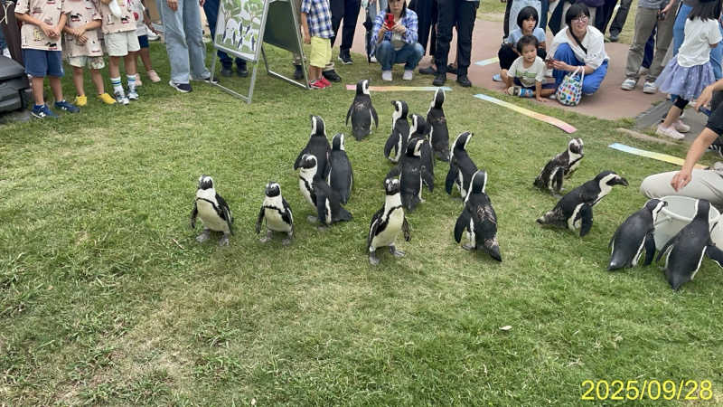 にゃんぱす〜@SB69さんのSHIRAHAMA KEYTERRACE ホテルシーモアのサ活写真