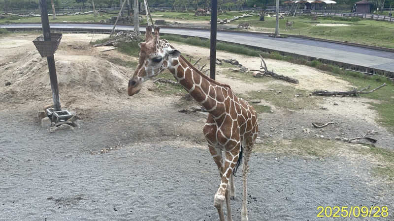 にゃんぱす〜@SB69さんのSHIRAHAMA KEYTERRACE ホテルシーモアのサ活写真