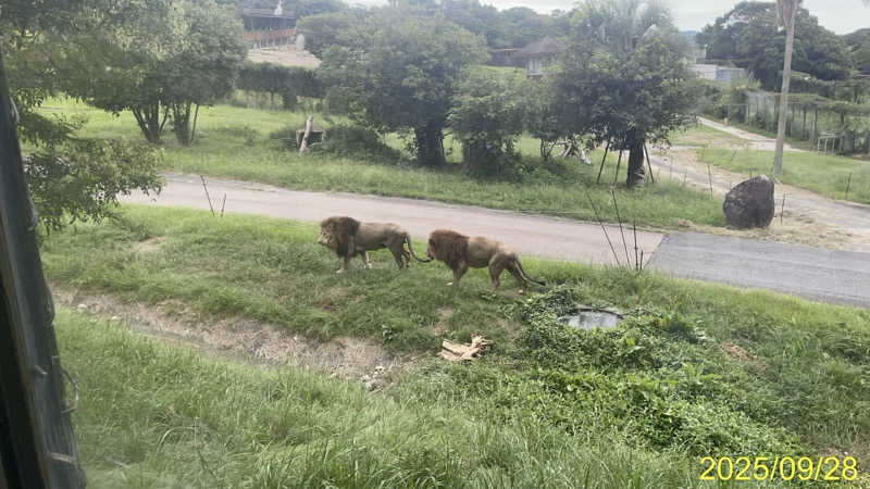 にゃんぱす〜@SB69さんのSHIRAHAMA KEYTERRACE ホテルシーモアのサ活写真