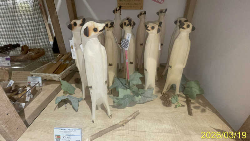 にゃんぱす〜@SB69さんのコナミスポーツクラブ茨木のサ活写真