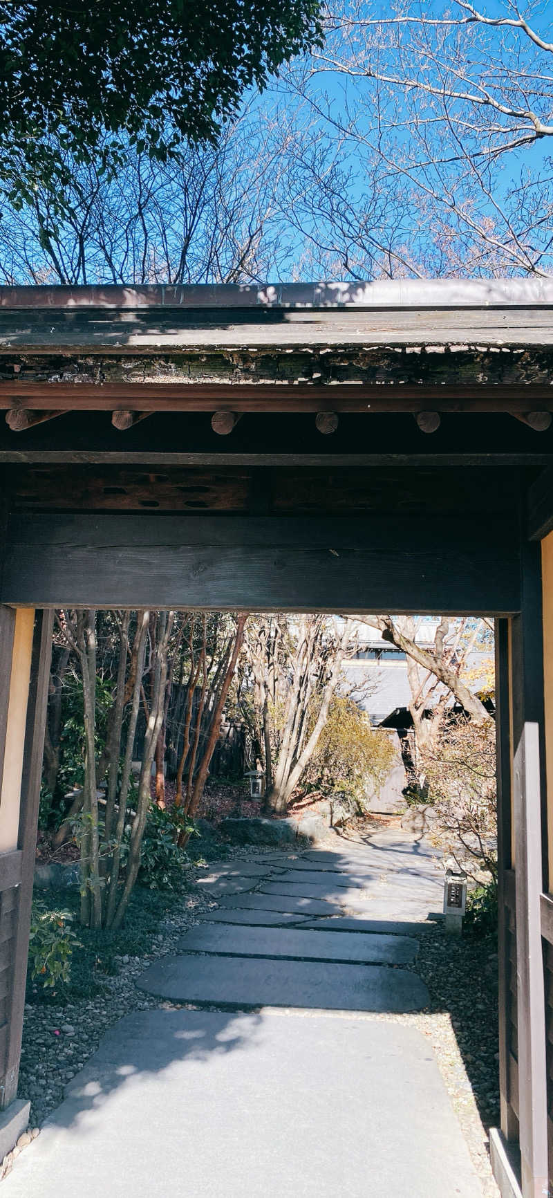 ふとすんさんの深谷花園温泉 花湯の森のサ活写真