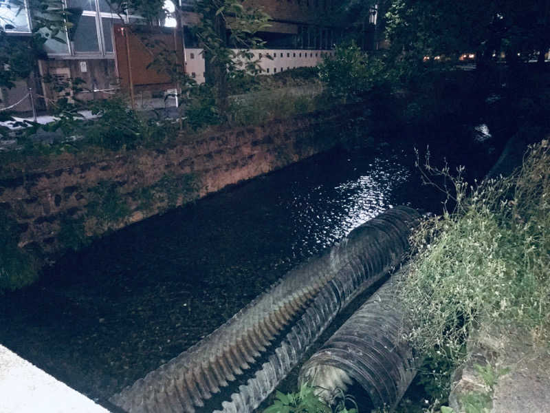 にゃりぶさんのサウナの梅湯のサ活写真