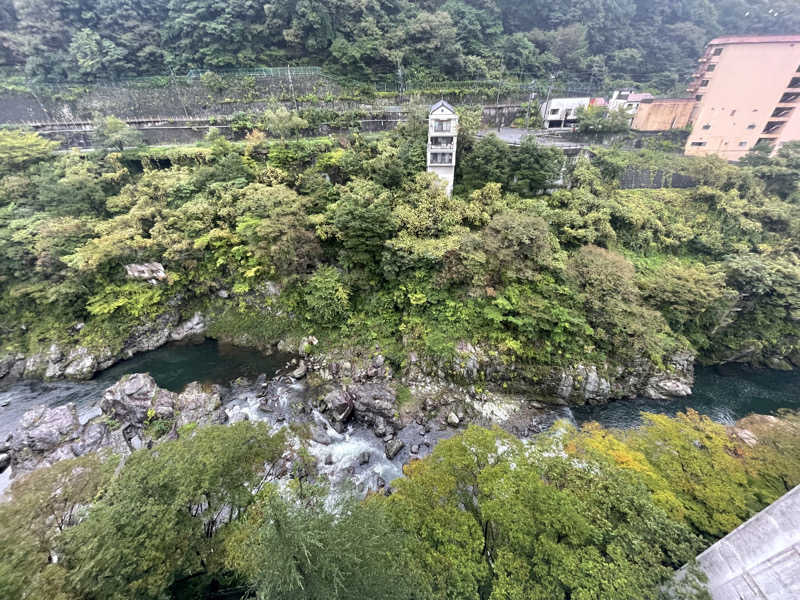 がきを。さんの鬼怒川温泉ホテルのサ活写真