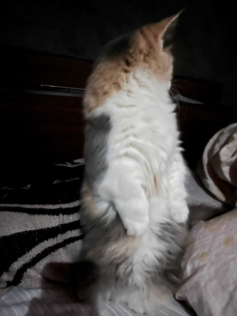 ころころころたさんの花咲の湯(HANASAKI SPA)のサ活写真