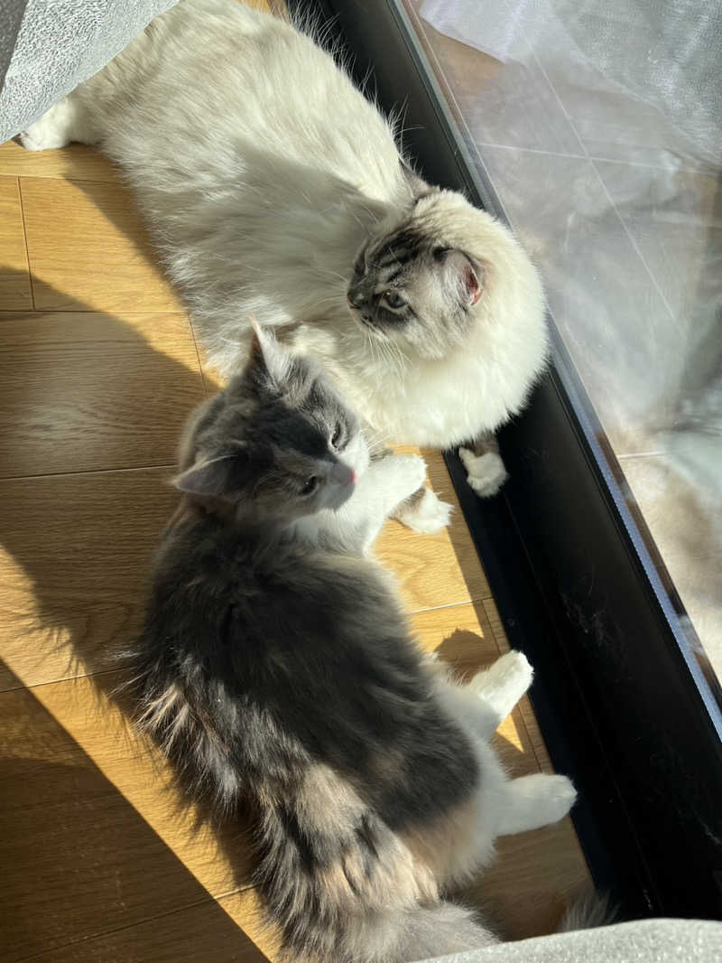 ころころころたさんの美楽温泉 SPA-HERBSのサ活写真