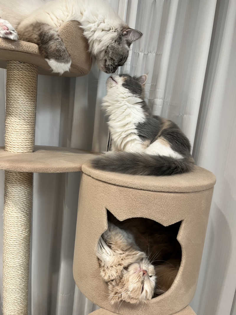 ころころころたさんのジェクサー・フィットネス&スパ大宮のサ活写真