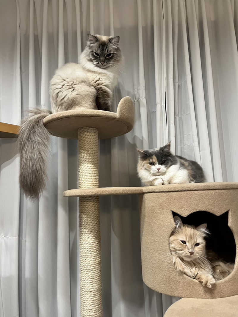 ころころころたさんの毎日サウナ 越谷店のサ活写真