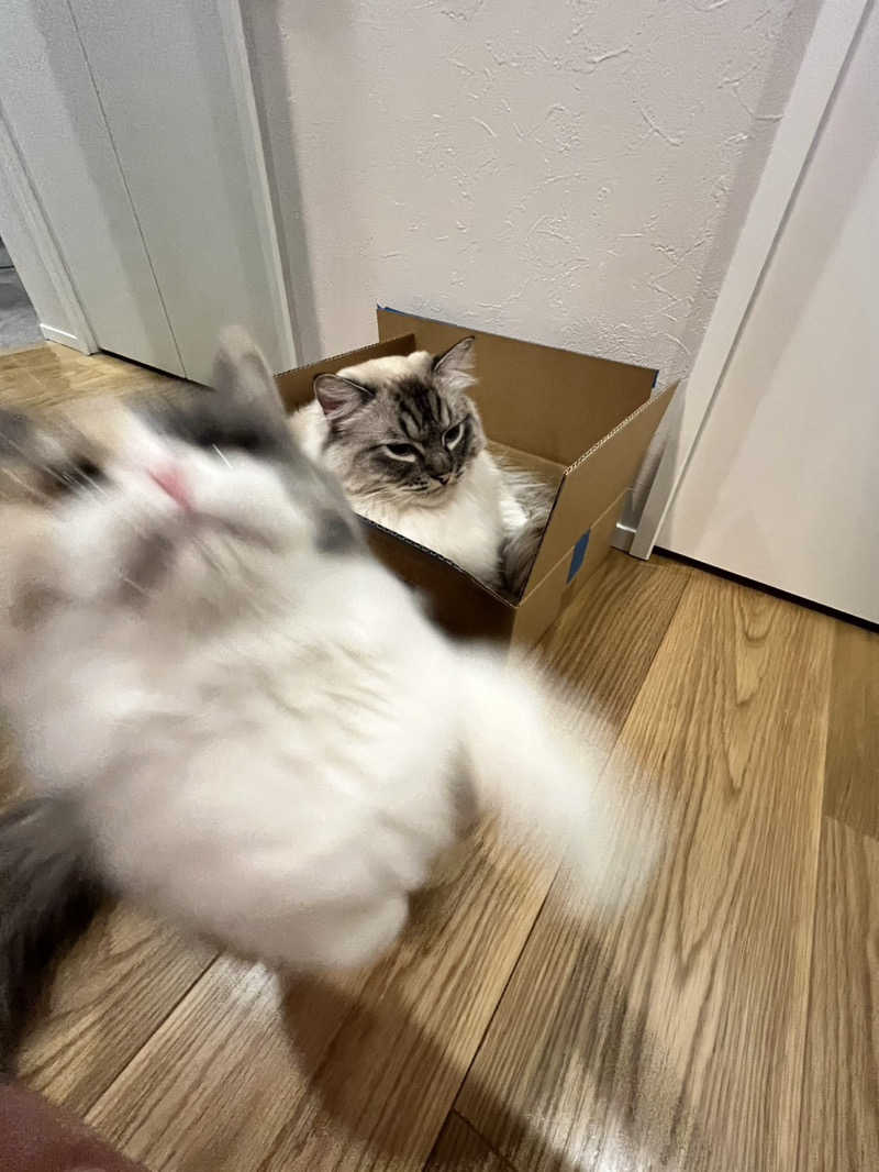 ころころころたさんの毎日サウナ 越谷店のサ活写真