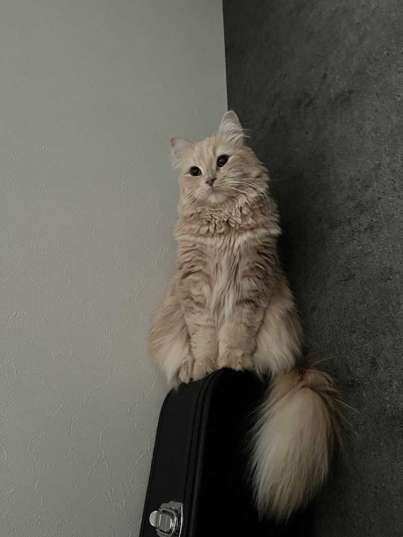 ころころころたさんのジェクサー・フィットネス&スパ大宮のサ活写真