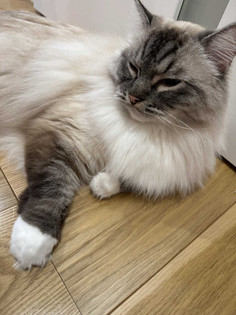 ころころころたさんの改良湯のサ活写真