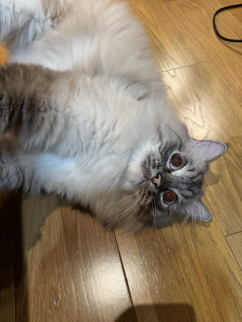 ころころころたさんの毎日サウナ 越谷店のサ活写真