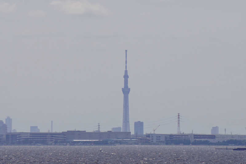 たっちゃんさんのJFA夢フィールド 幕張温泉 湯楽の里のサ活写真