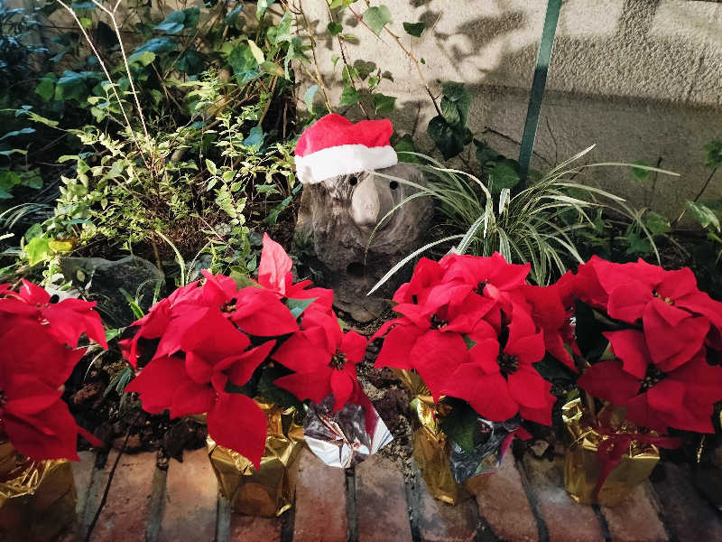 マサ−誠−さんの神戸サウナ&スパのサ活写真