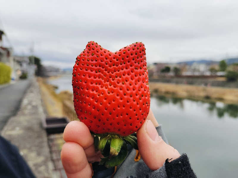 マサ−誠−さんのサウナの梅湯のサ活写真