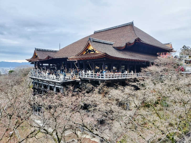 マサ−誠−さんのサウナの梅湯のサ活写真