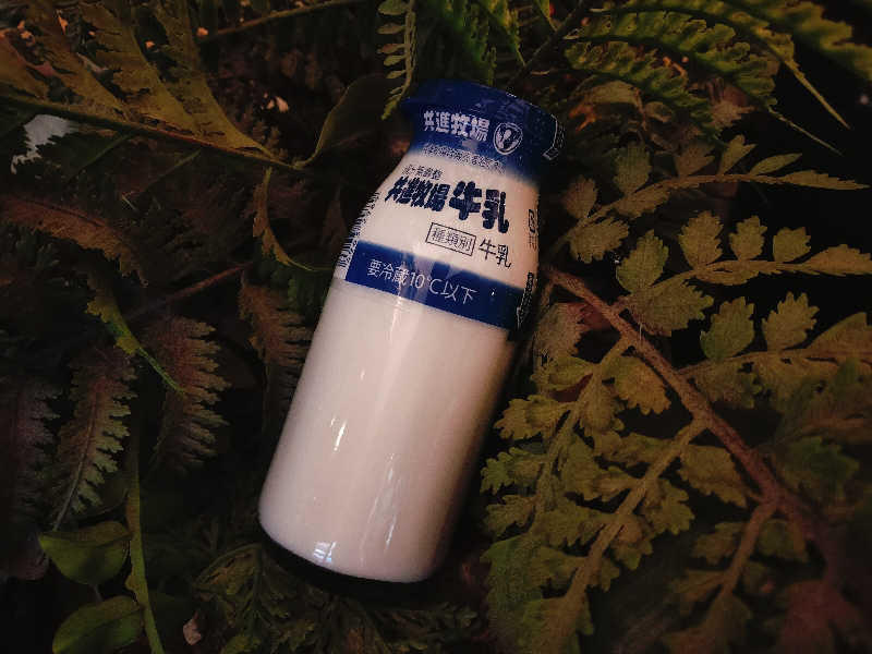 マサ−誠−さんの明石大蔵海岸 龍の湯のサ活写真