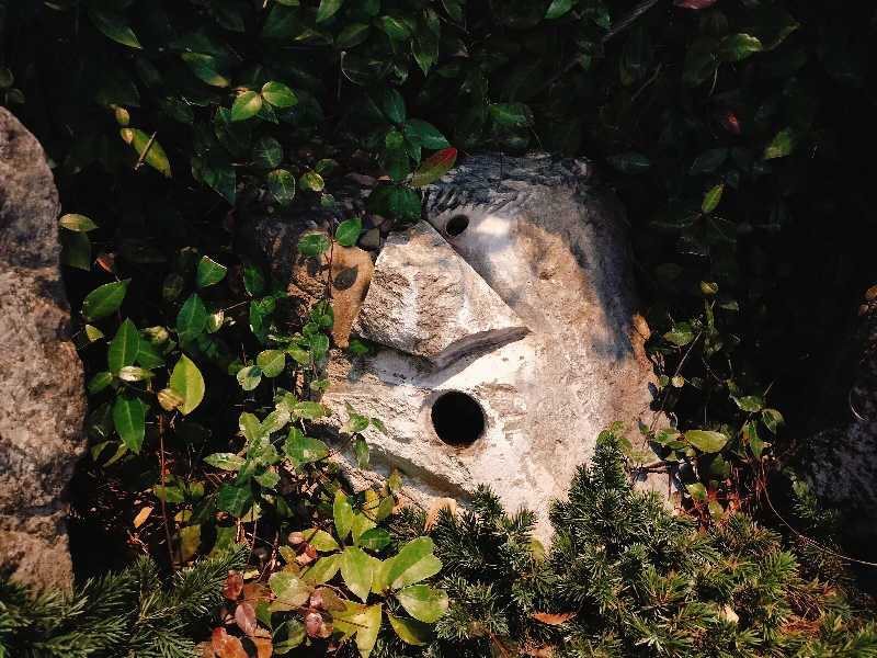 マサ−誠−さんの神戸サウナ&スパのサ活写真