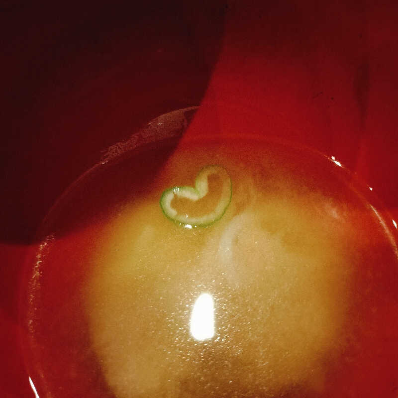 マサ−誠−🍊さんのカプセルホテル&サウナ ジートピアのサ活写真