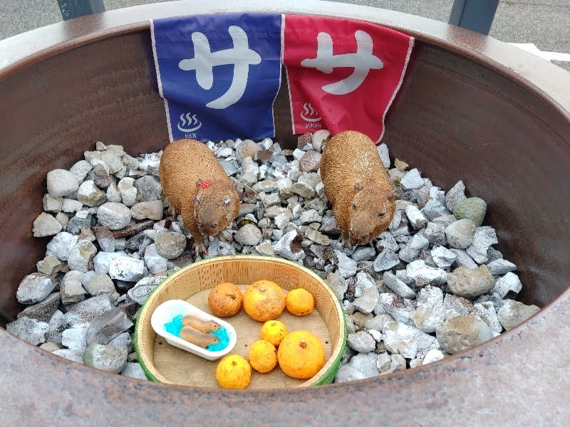 ボブさんの富士山天然水SPA サウナ鷹の湯のサ活写真