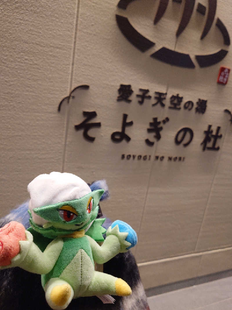 まさゑ🌹🟪🎹🩷🩵【灼熱のスピナッチ🥬】さんの愛子天空の湯 そよぎの杜のサ活写真