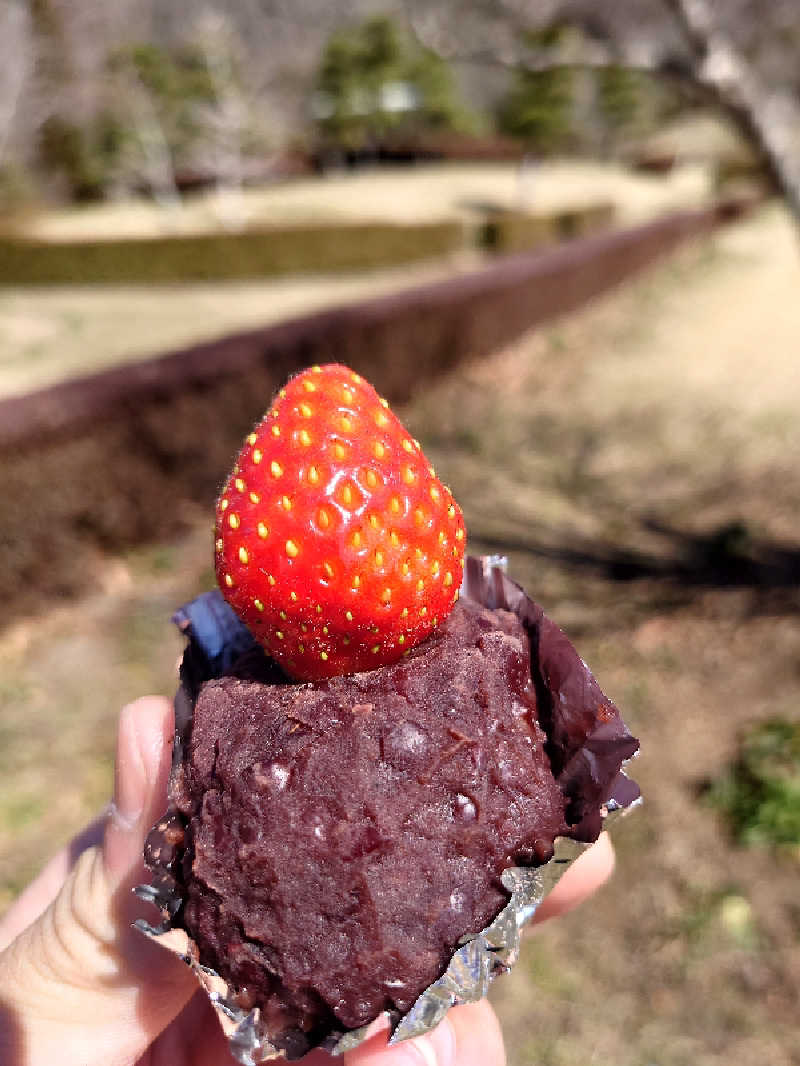まさゑ🌹🟪🎹🩷【灼熱のスピナッチ🥬】さんの加護坊温泉 さくらの湯のサ活写真