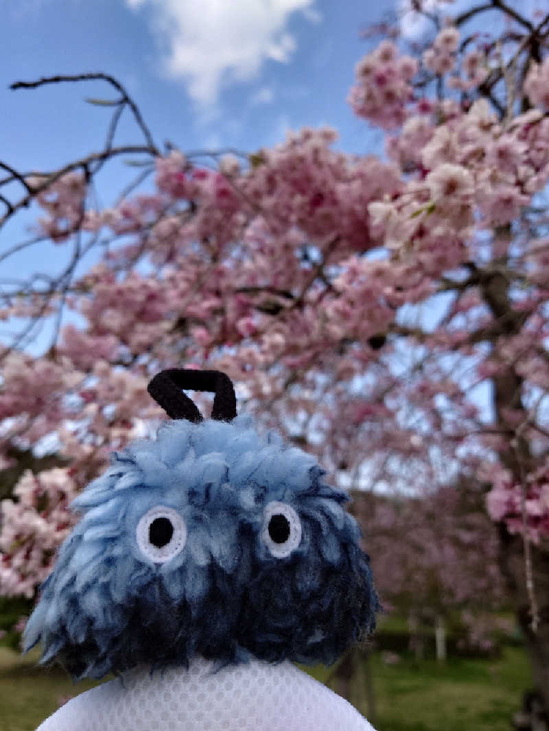 まさゑ🌹🟪🎹🩷【灼熱のスピナッチ🥬】さんの加護坊温泉 さくらの湯のサ活写真