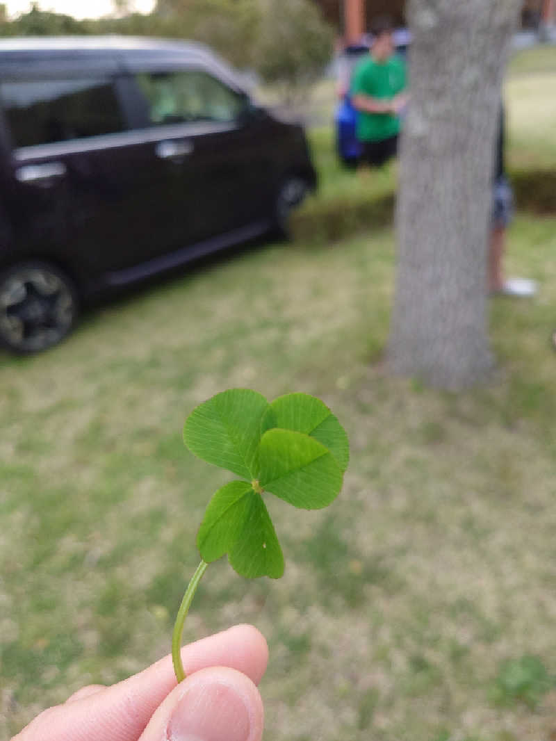 まさゑ🌹🌿さんの加護坊温泉 さくらの湯のサ活写真