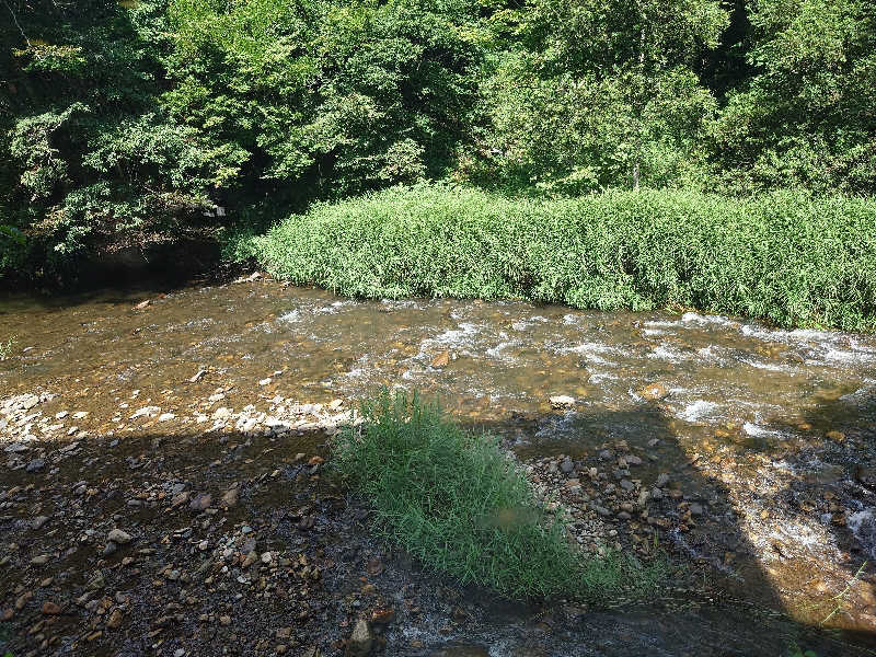 まさゑ🌹🟪🎹🩷【灼熱のスピナッチ🥬】さんの鉛温泉 藤三旅館のサ活写真
