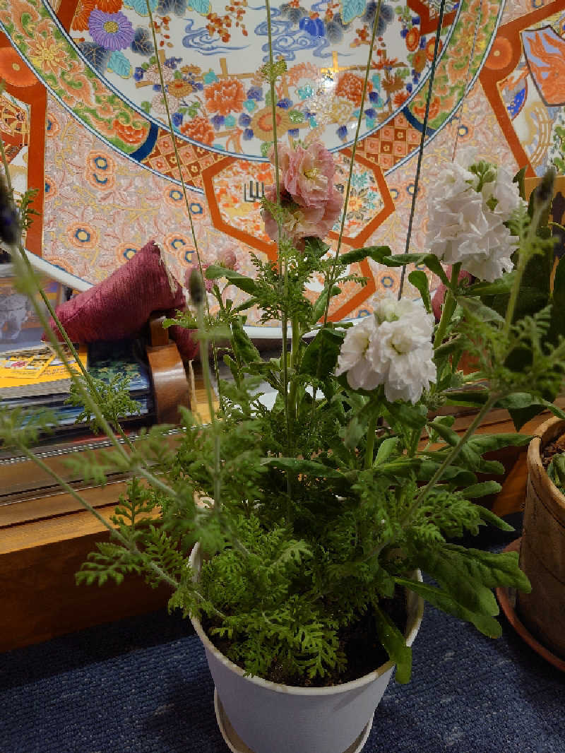 まさゑ🌹🟪🎹🩷【灼熱のスピナッチ🥬】さんの豆坂温泉 三峰荘のサ活写真