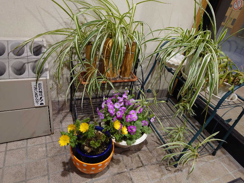 まさゑ🌹🟪🎹🩷【灼熱のスピナッチ🥬】さんの豆坂温泉 三峰荘のサ活写真
