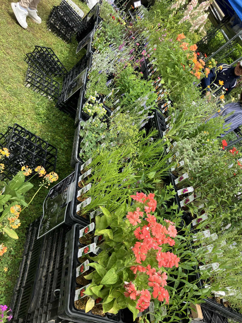 毎度お騒がせベア美さんの花と緑と安らぎの湯 東和温泉のサ活写真