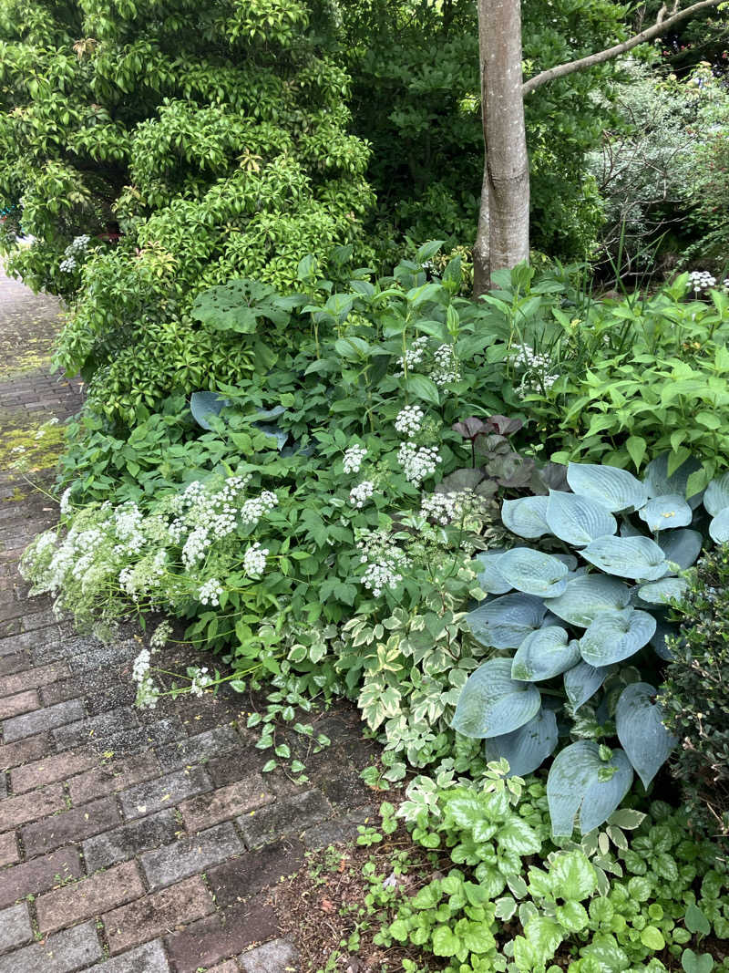 毎度お騒がせベア美さんの花と緑と安らぎの湯 東和温泉のサ活写真