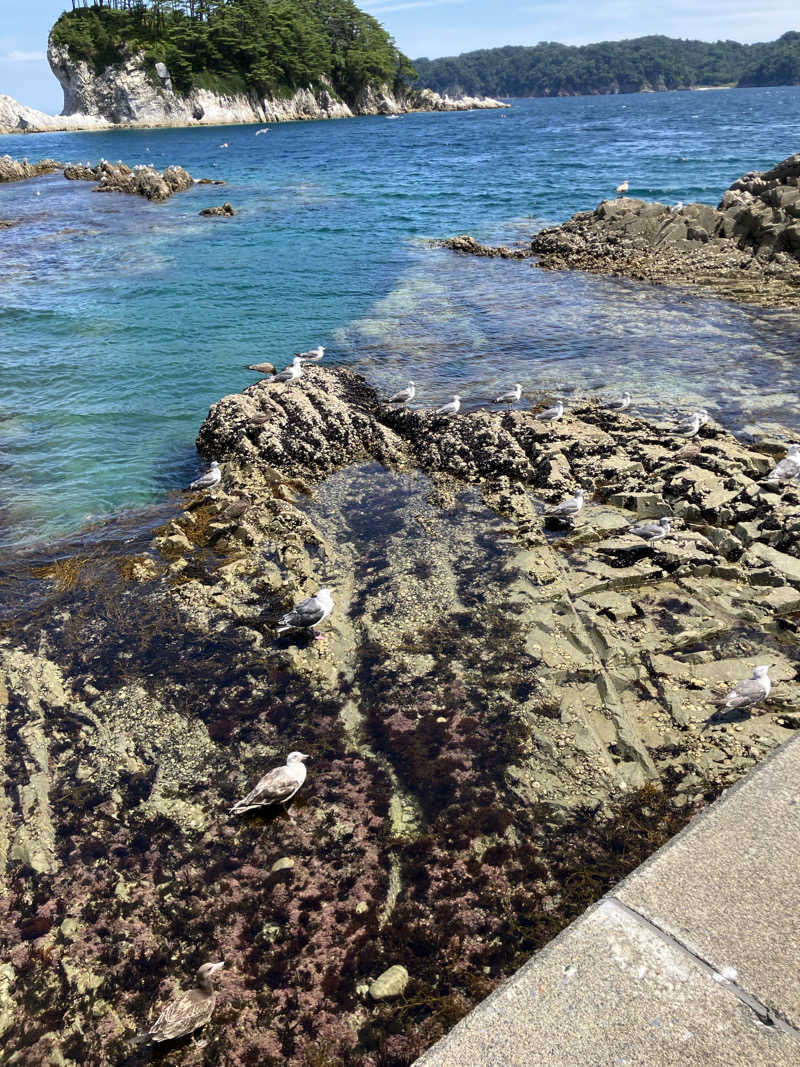 毎度お騒がせベア美さんの湯ったり館のサ活写真