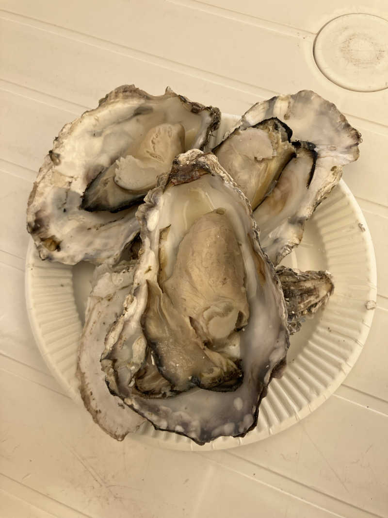 毎度お騒がせベア美さんの湯ったり館のサ活写真