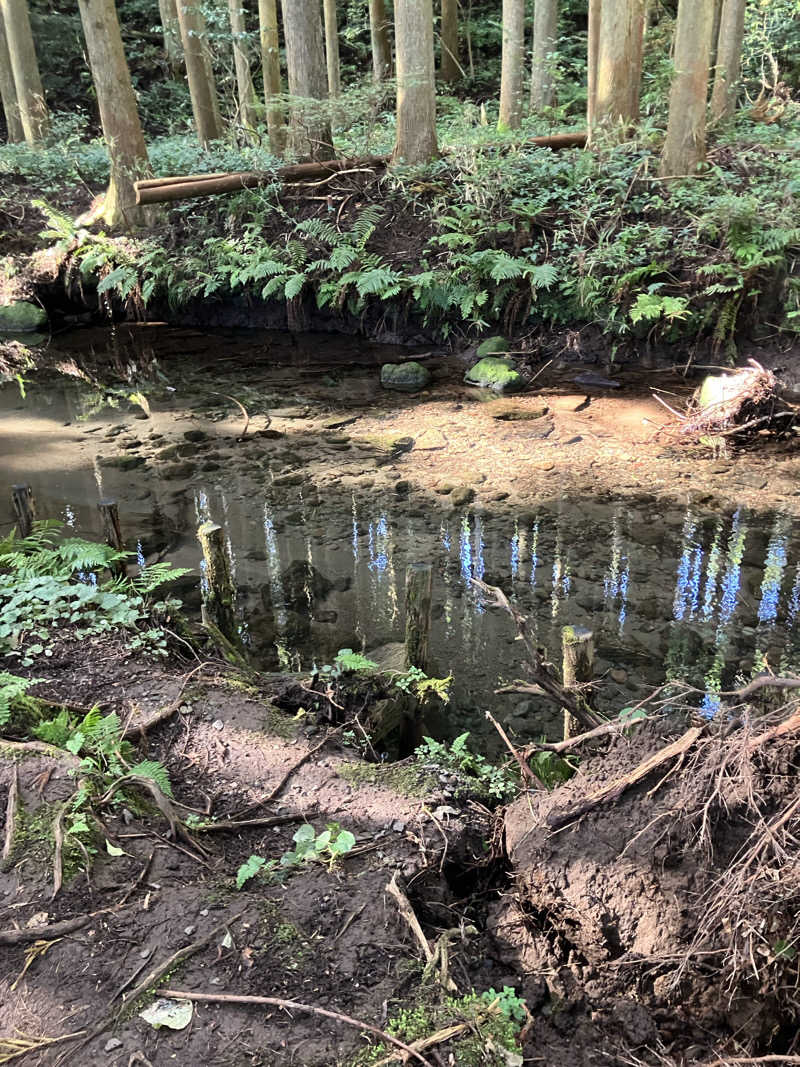 毎度お騒がせベア美さんの鳥海温泉保養センターあぽん西浜のサ活写真