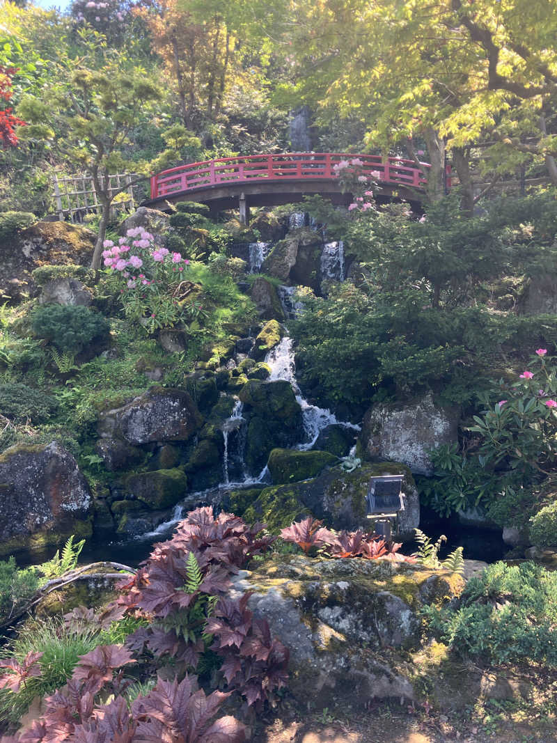 毎年お騒がせベア美さんのからんころん温泉のサ活写真