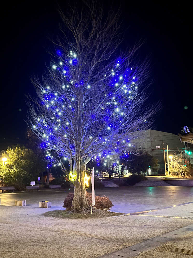 マジたつさんのホットプラザ浅間のサ活写真