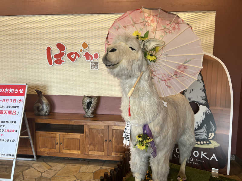 おもちさんの湯の郷ほのか 蘇我店のサ活写真