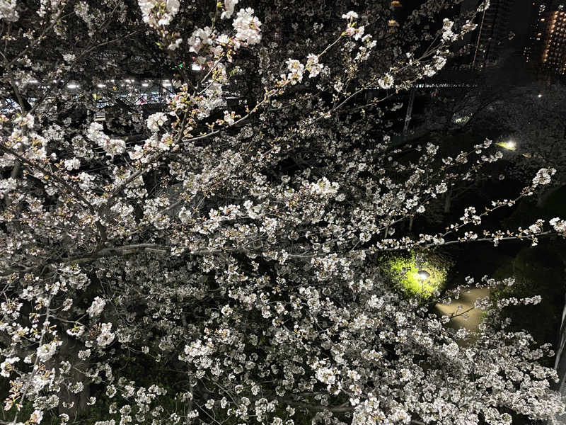 Sachiyoさんの巣鴨湯のサ活写真