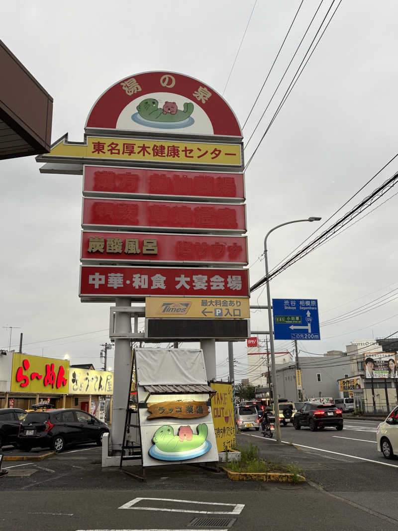 ちぇすちぇすさんの湯乃泉 東名厚木健康センターのサ活写真