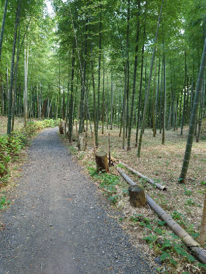 裕子さんのインスタントサウナ(湯山の里内)のサ活写真