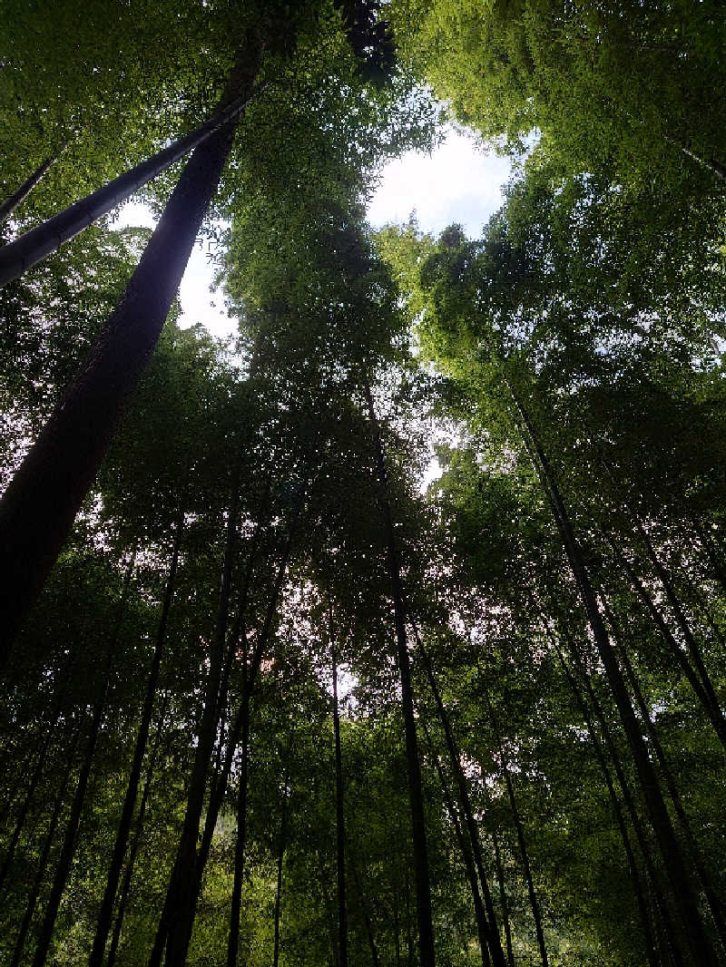 裕子さんのインスタントサウナ(湯山の里内)のサ活写真