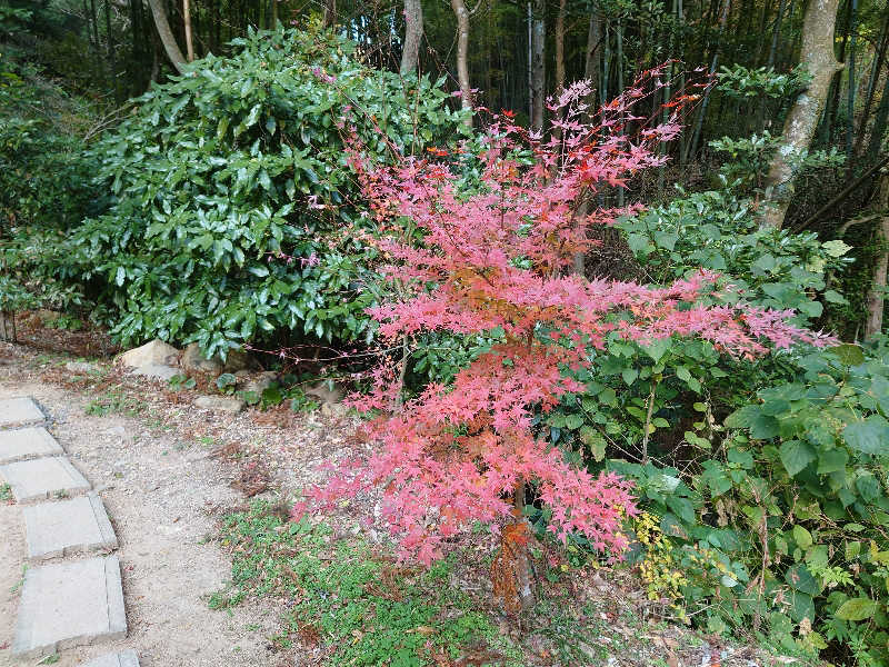 裕子さんのインスタントサウナ(湯山の里内)のサ活写真