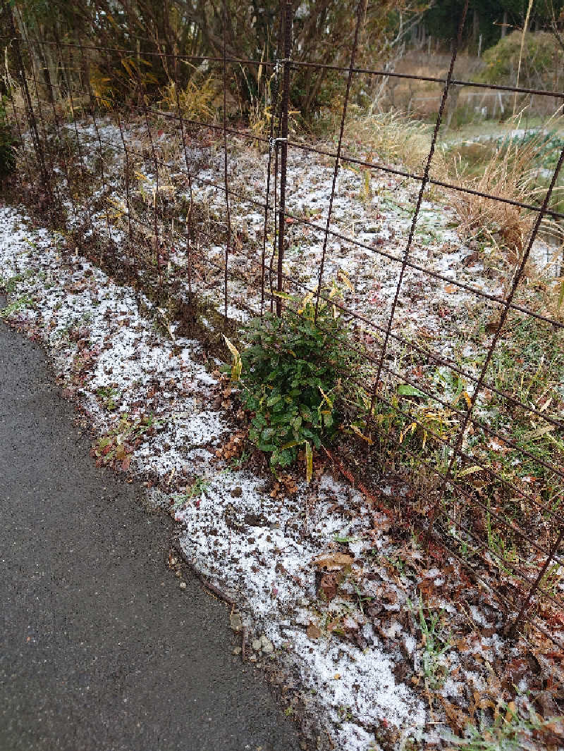 裕子さんのインスタントサウナ(湯山の里内)のサ活写真