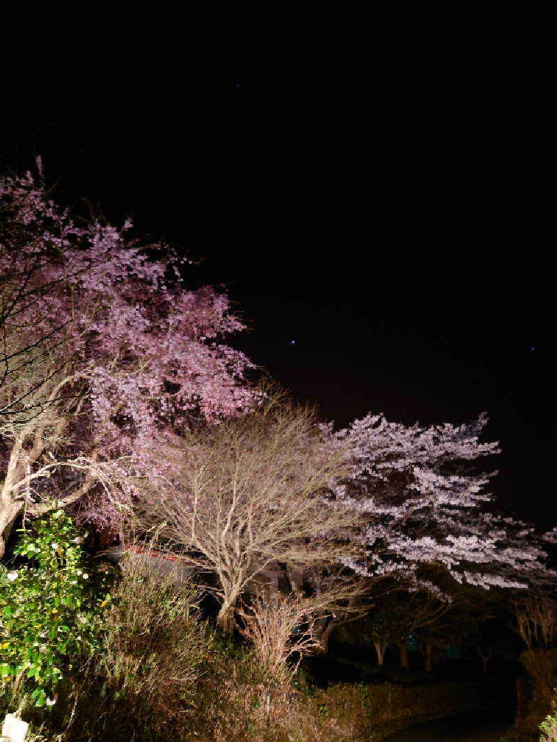 裕子さんのインスタントサウナ(湯山の里内)のサ活写真