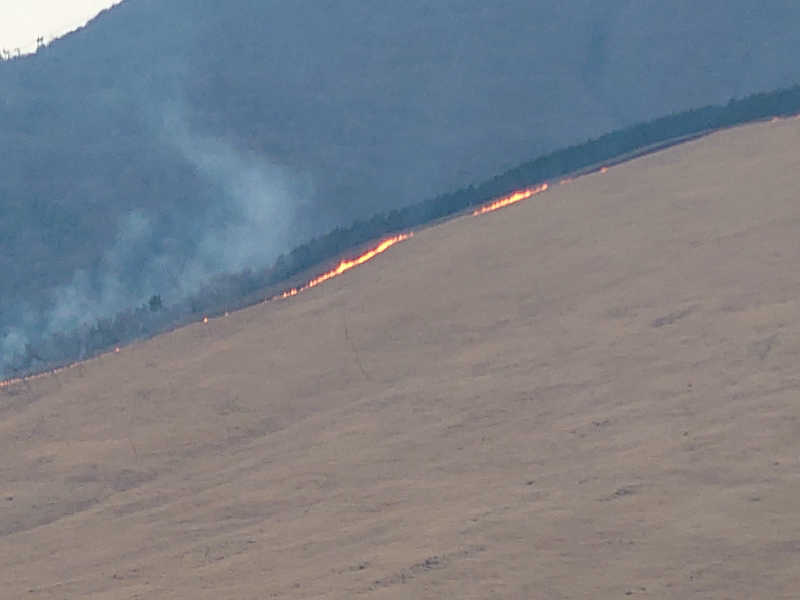 裕子さんのインスタントサウナ(湯山の里内)のサ活写真