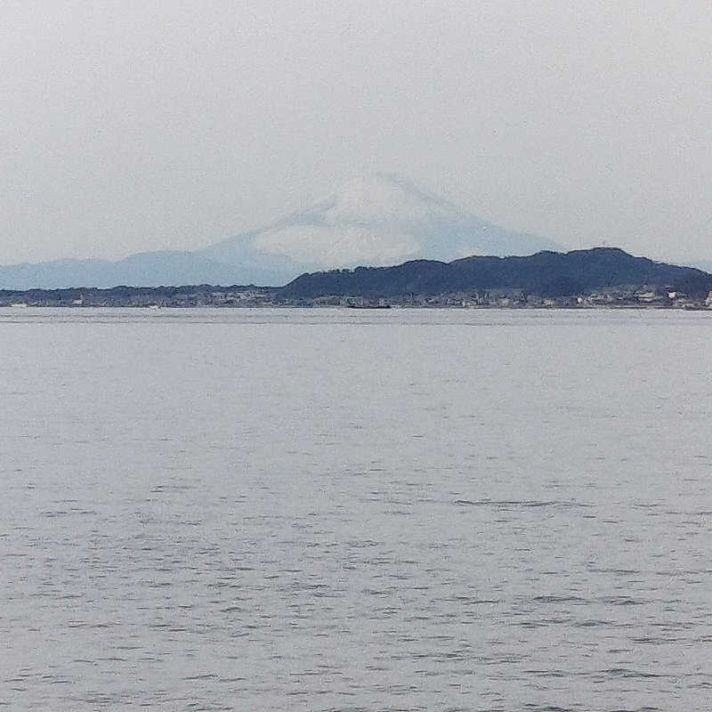 だだちゃまめさんの天然温泉 海辺の湯のサ活写真
