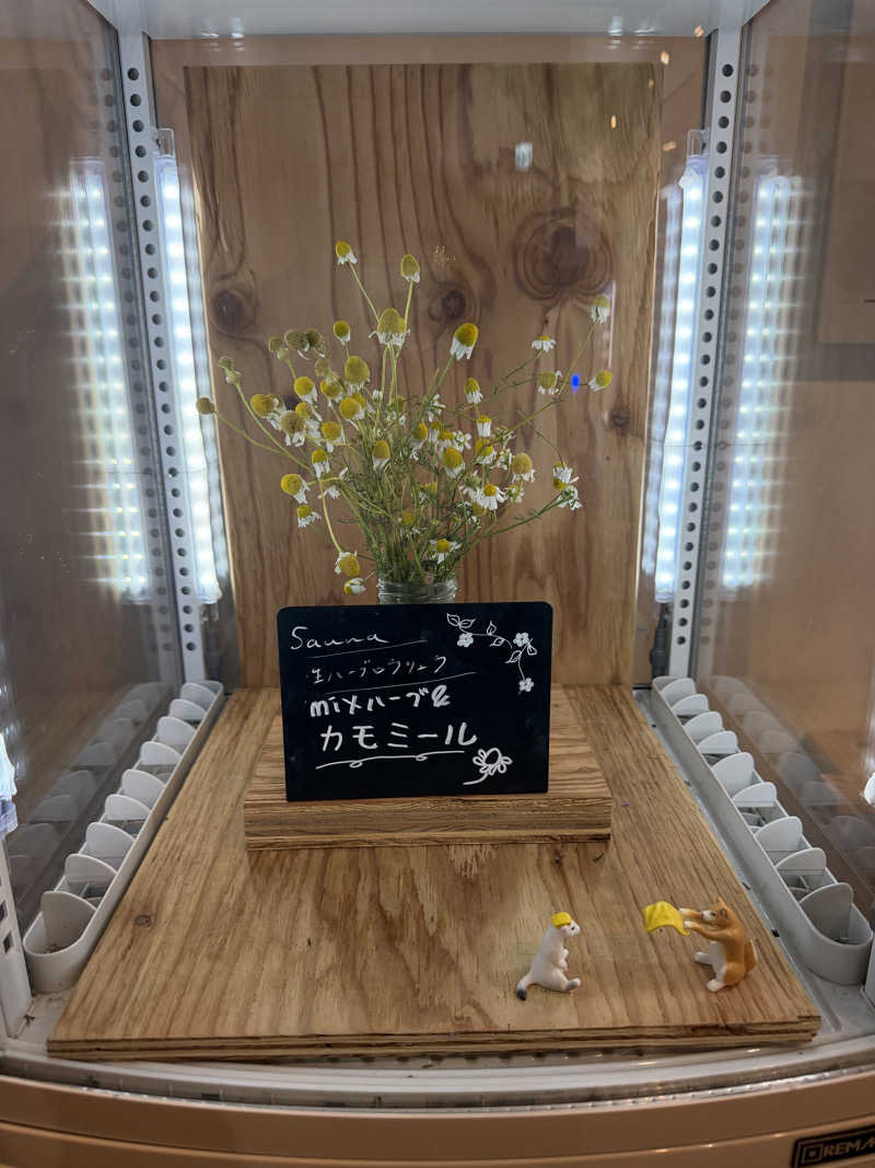 いわさきさんの岐阜各務原 恵みの湯のサ活写真