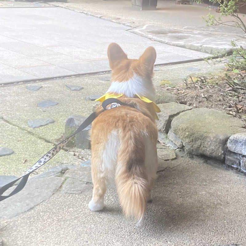 makai_shoudenさんの吉田屋山王閣のサ活写真